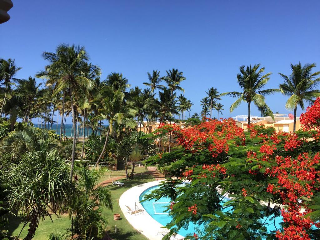 Don Cesar Aparthotel Las Terrenas Esterno foto